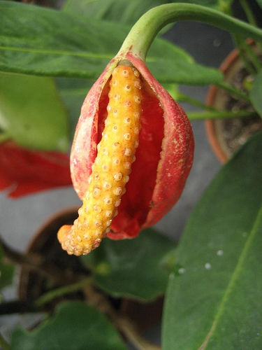 483800495_9138f3f130