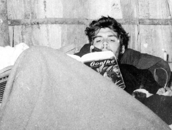 ernesto-che-guevara-24 (2)